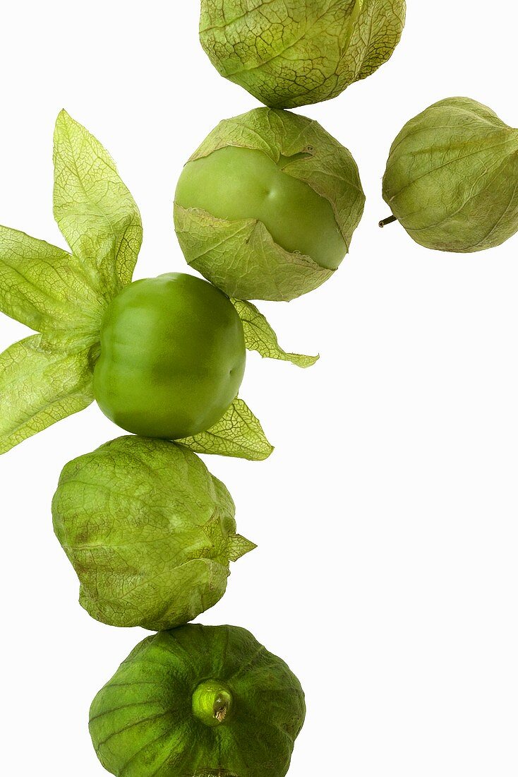 Tomatillos on a White Background