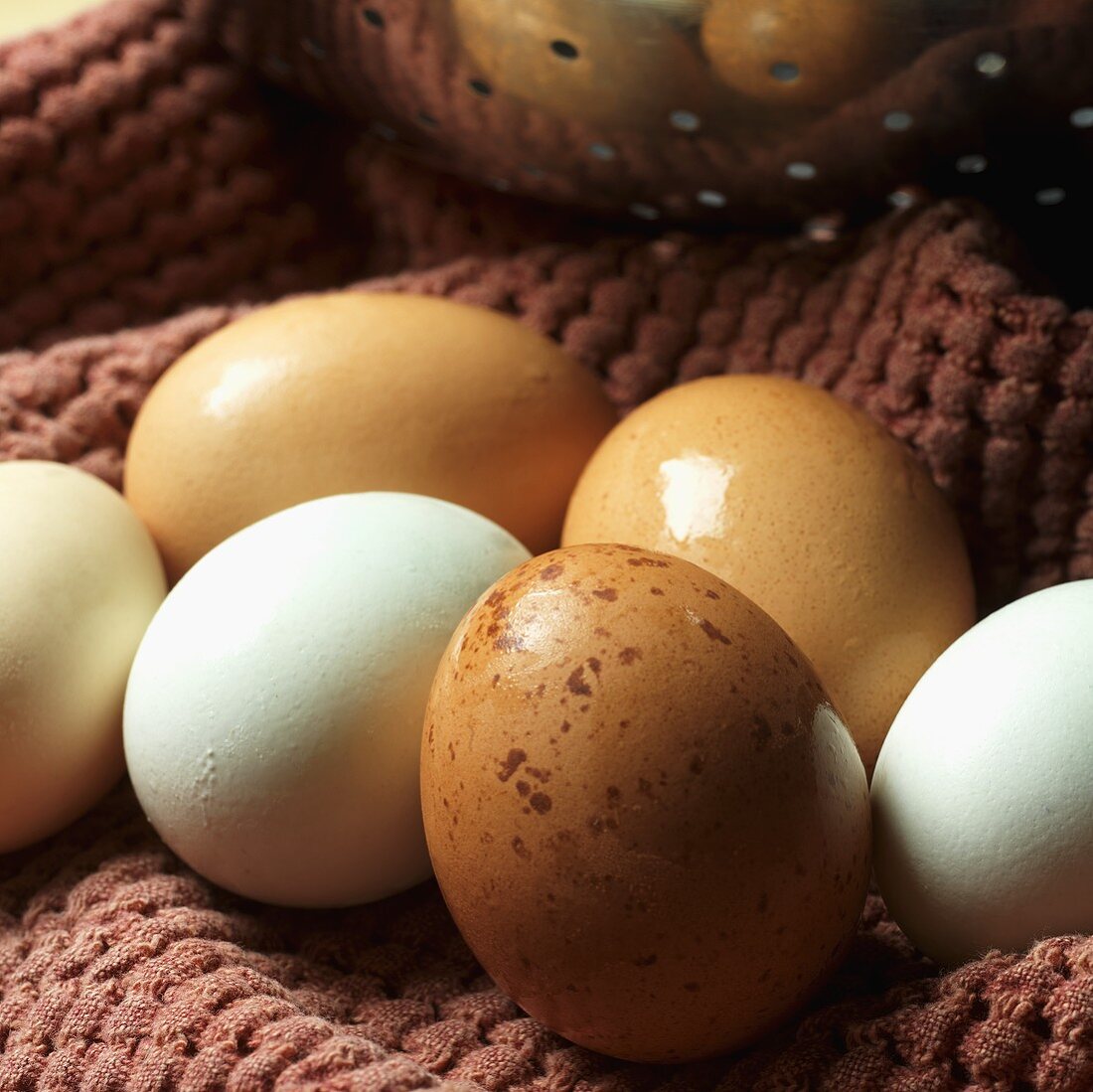 Fresh White and Brown Eggs from Iceberg Farms in New Jersey