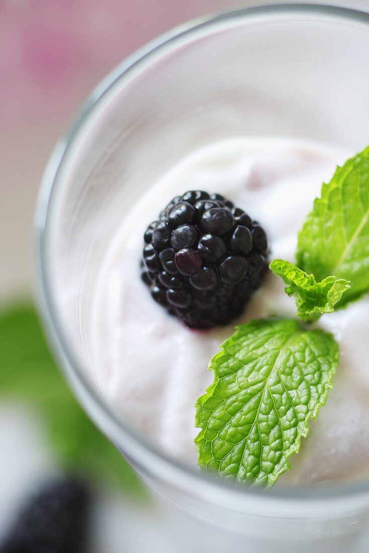 Fresh Blackberry and Mint as Garnish on Greek Blackberry Yogurt