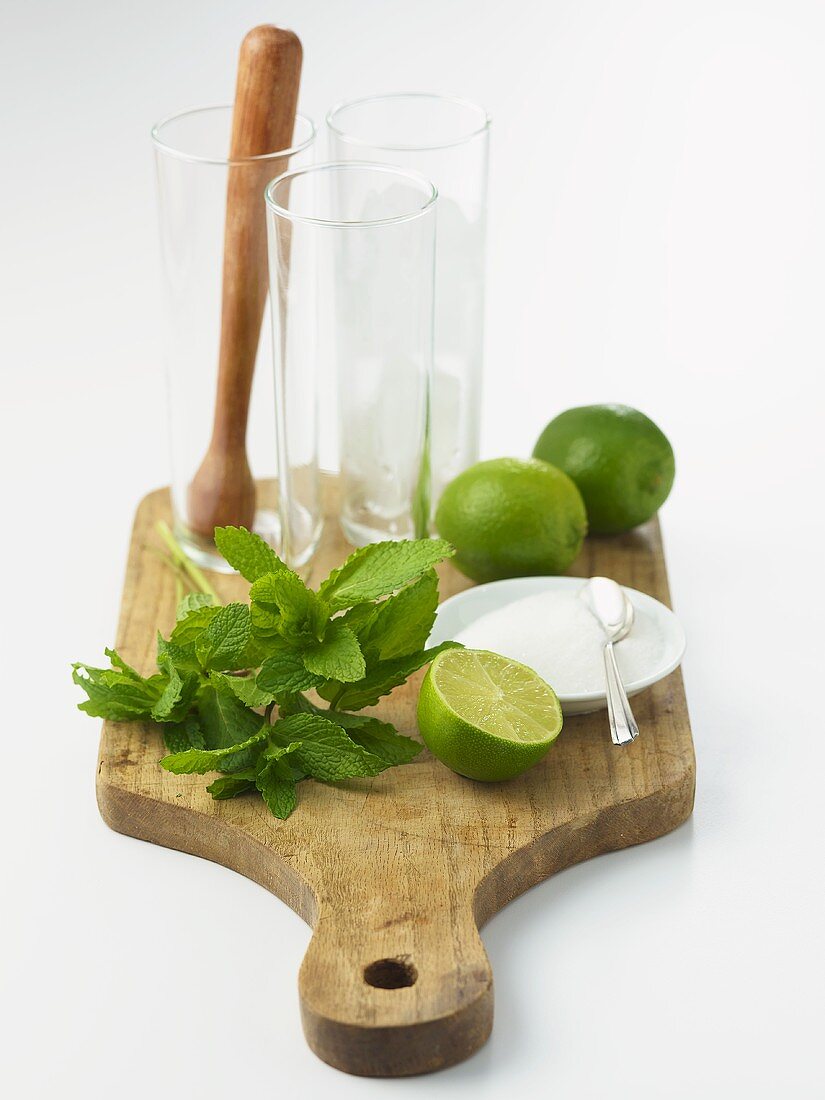 Mojito Ingredients