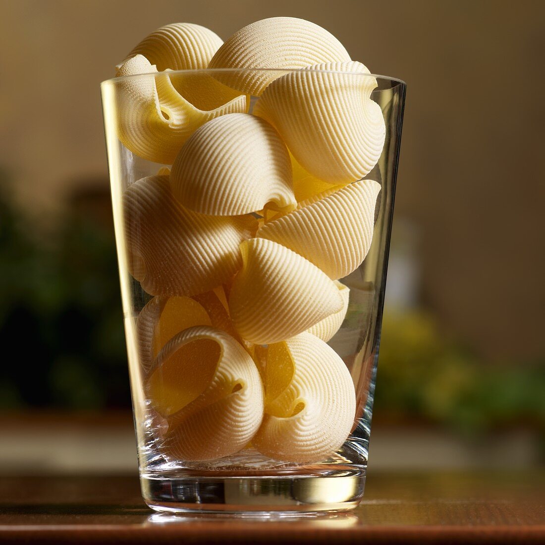 Pasta Shells in a Tall Glass Vase