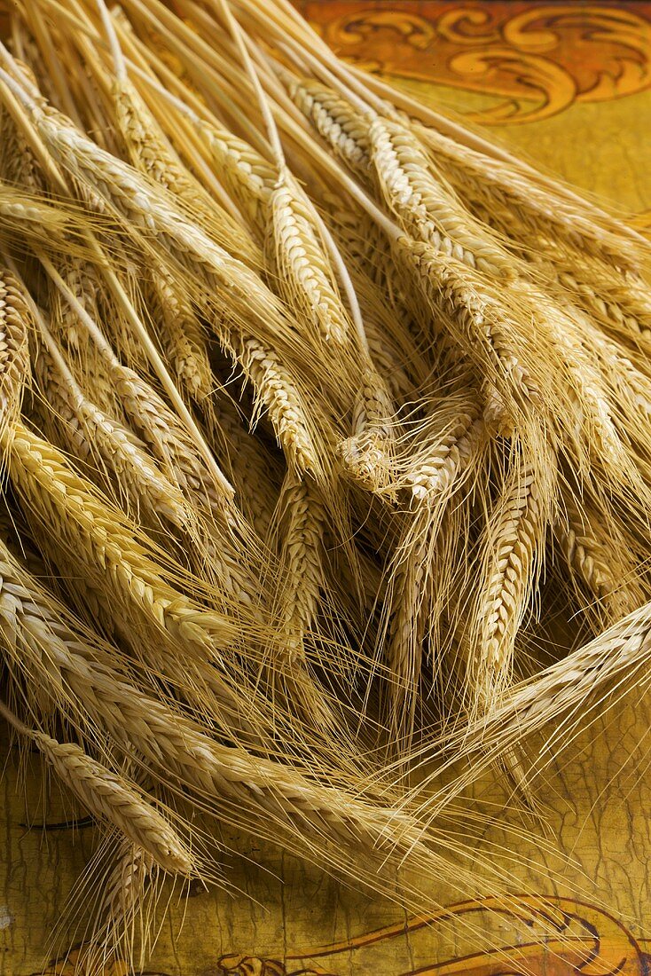 Pile of Golden Wheat Stalks