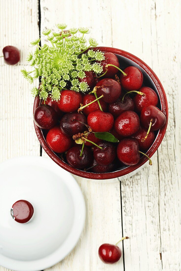 Rote Kirschen mit Wassertropfen in Schale von oben