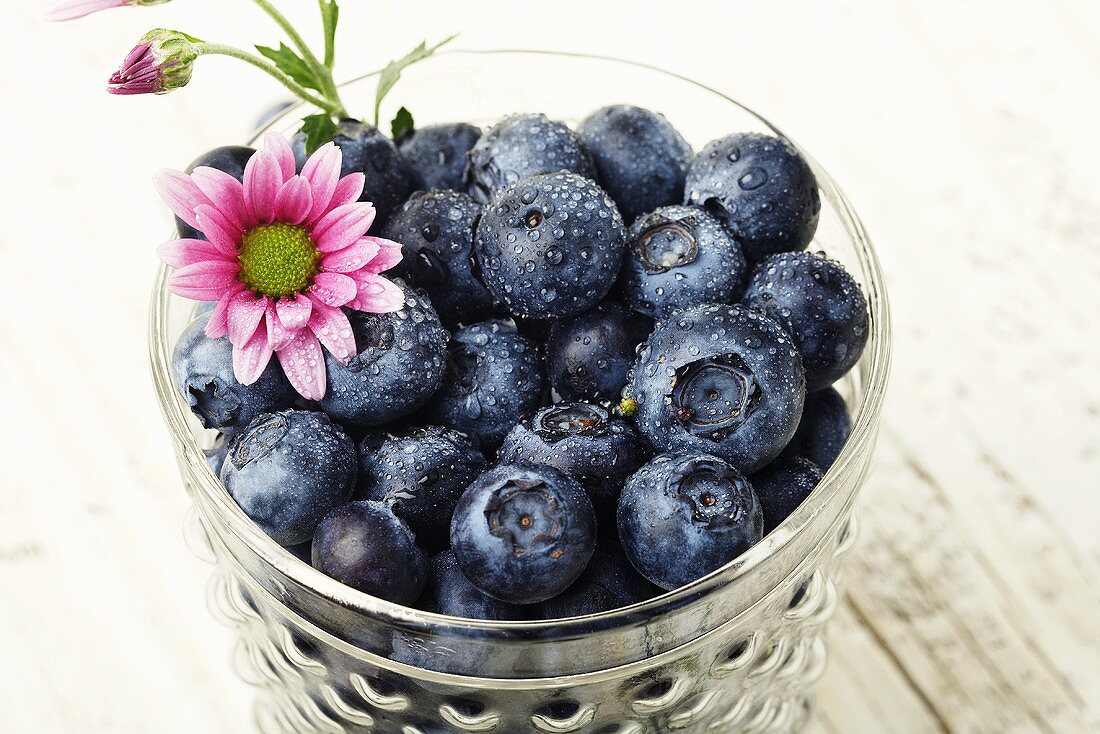 Fresh Washed Blueberries in a Glass; Pink Flower