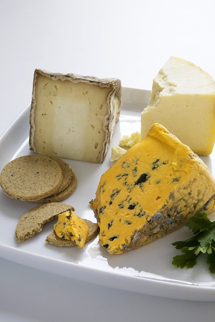 Verschiedene englische Käsesorten mit Crackern