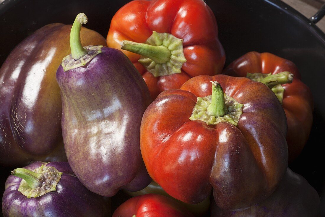 Fresh Assorted Red and Purple Peppers