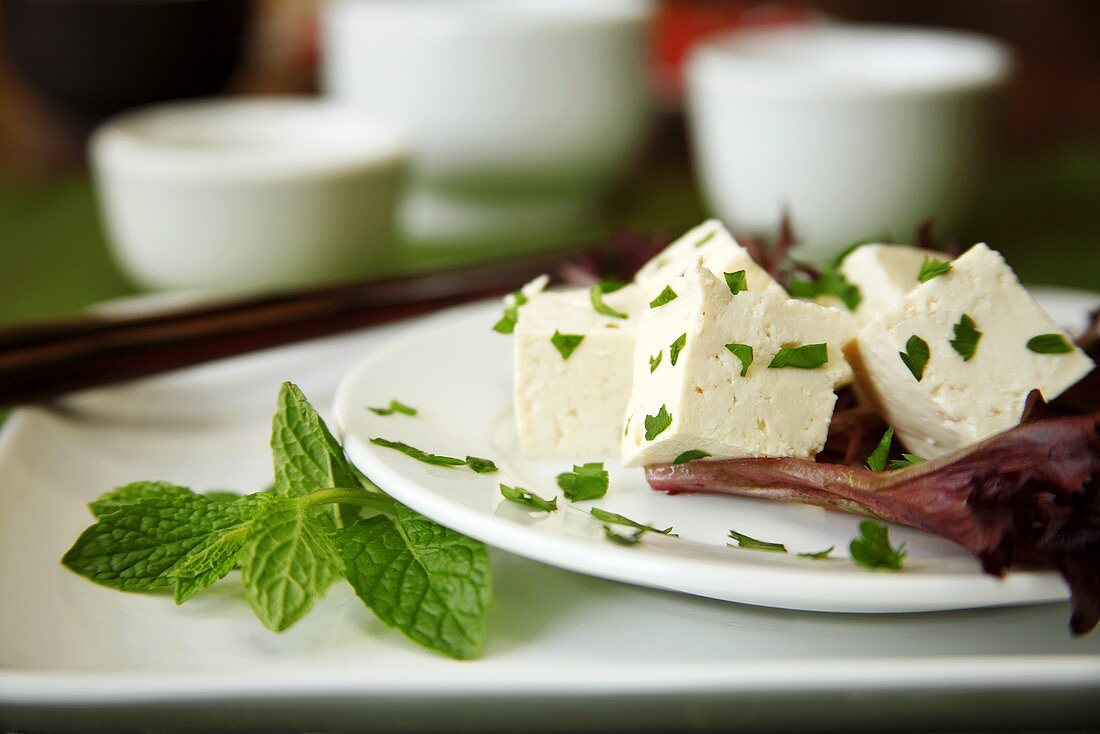 Cubes of Tofu on Red Lettuce Leaf with Parsley Flakes