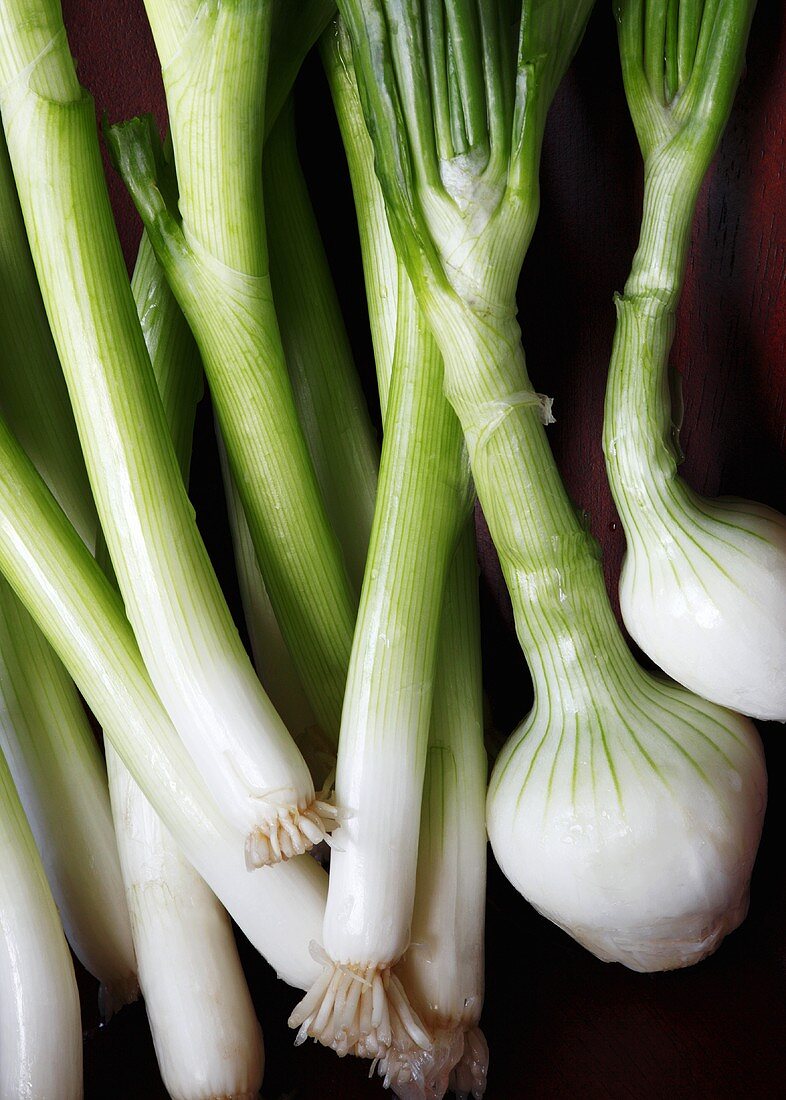 Fresh spring onions