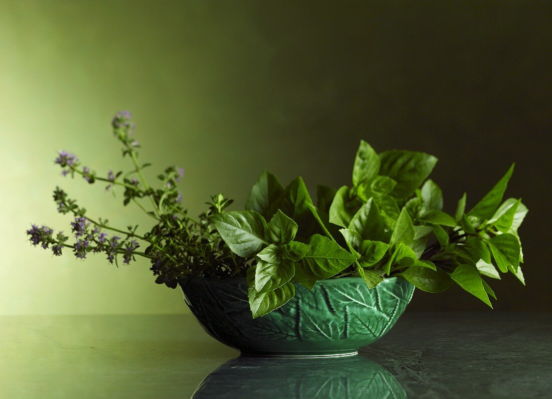 Green Bowl of Fresh Herbs