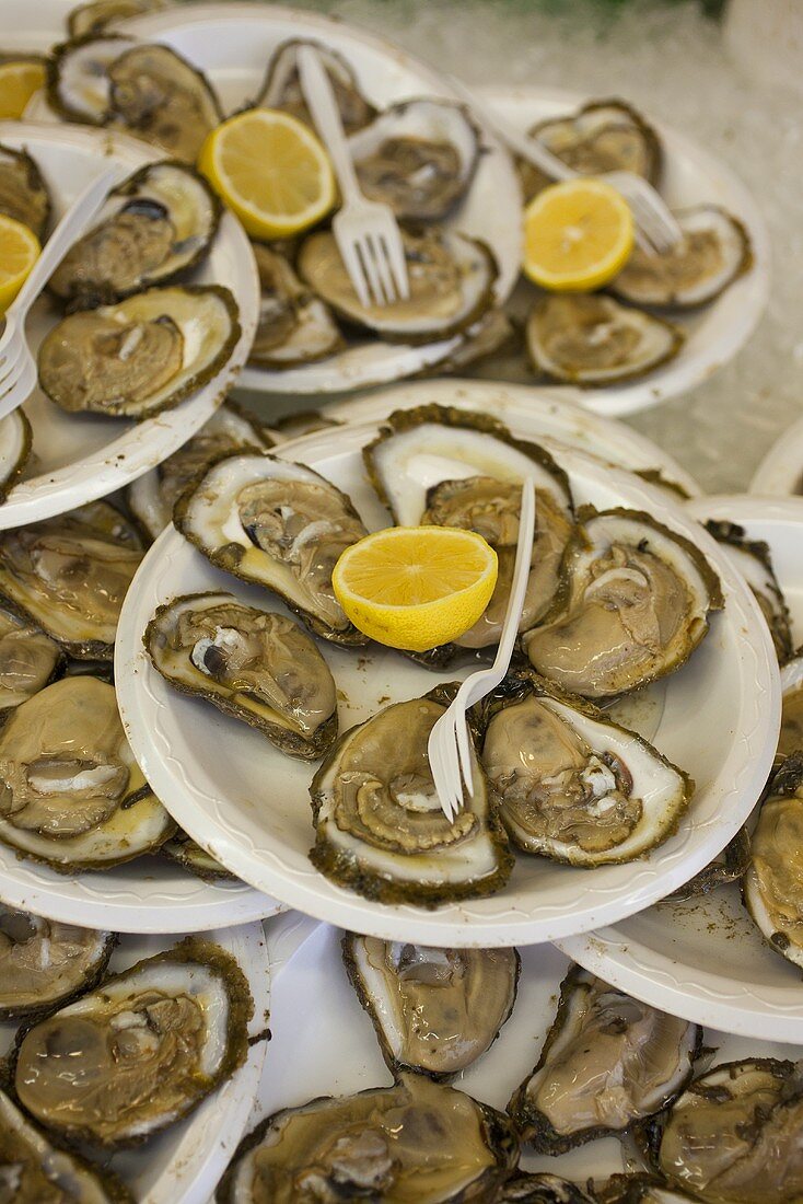 Many Plates of Oysters on the Half Shell with Lemon