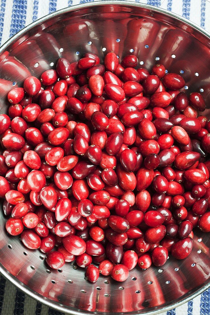 Viele Cranberries im Küchensieb von oben