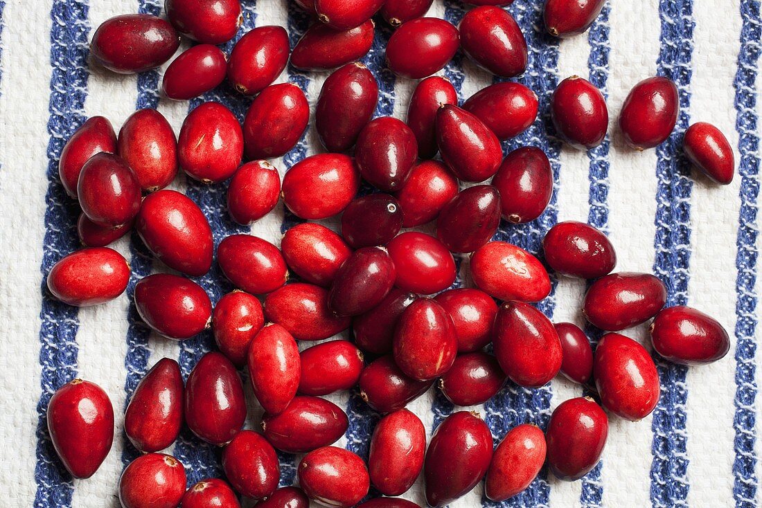 Viele Cranberries auf Geschirrtuch von oben