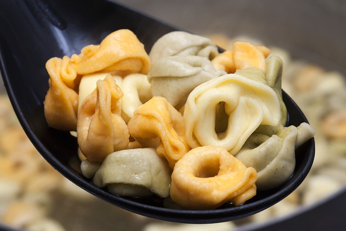 Dreifarbige gekochte Tortellini mit Käsefüllung auf Löffel