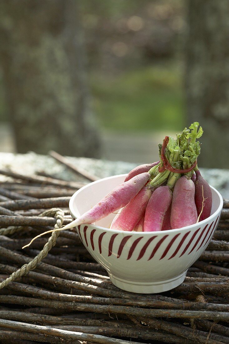 Fresh Red Radishes in a Bowl Outdoors