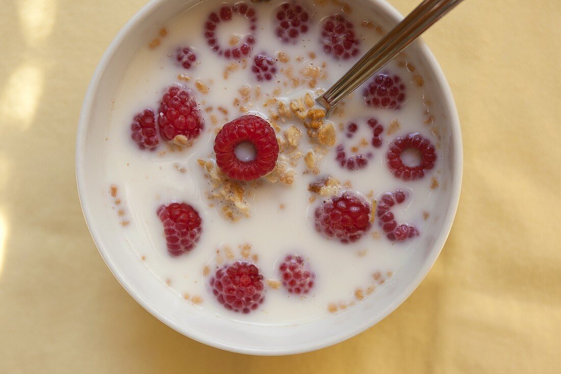 Bowl of Granola Cereal with Raspberries; From Above