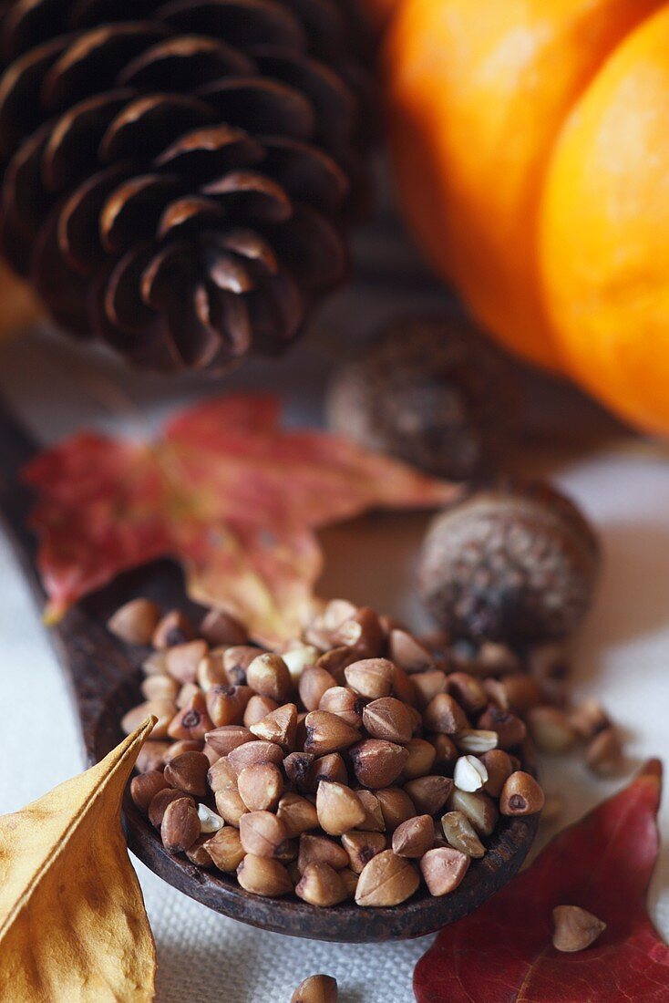 Roasted Kasha on Wooden Spoon; Autumn Leaves, Acorns, Pine Cone and Pumpkin