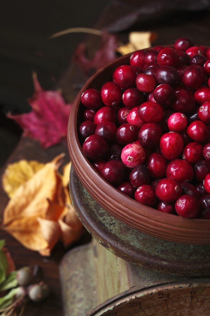Frische Cranberries auf alter Waage, Herbstlaub