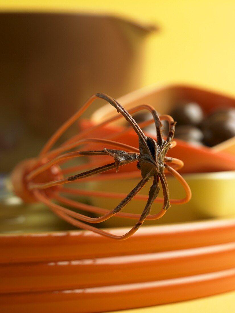 Orange Whisk with Chocolate Frosting