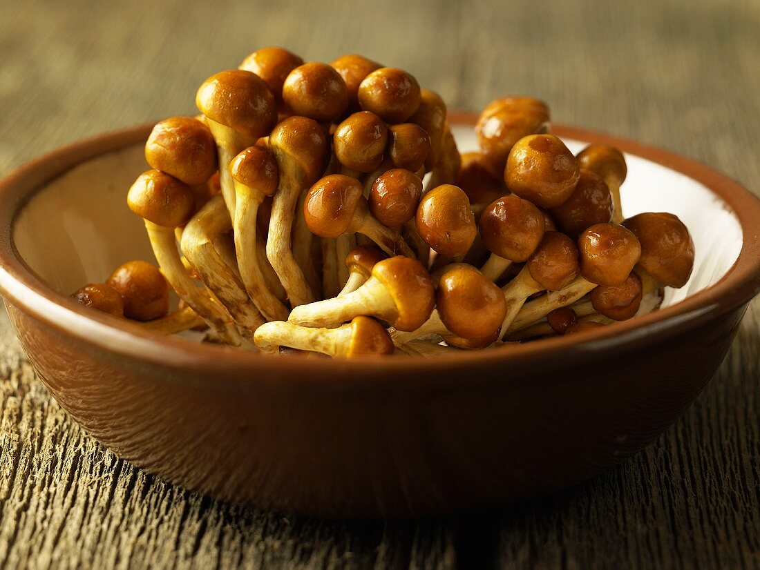Brown Mushrooms in a Brown Bowl