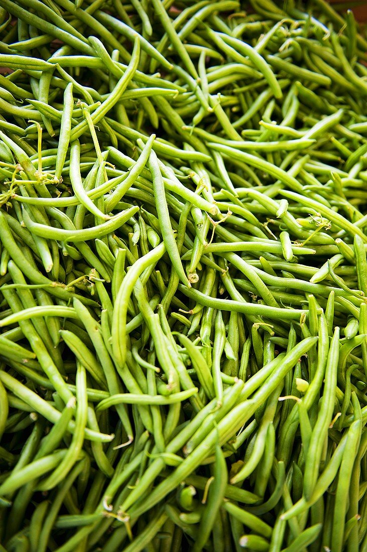 Many Fresh Green Beans