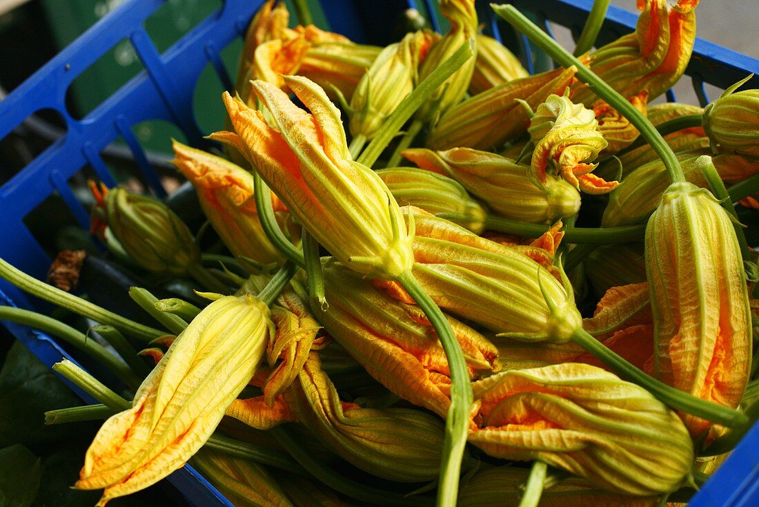 Frische Zucchiniblüten in Steige auf dem Markt