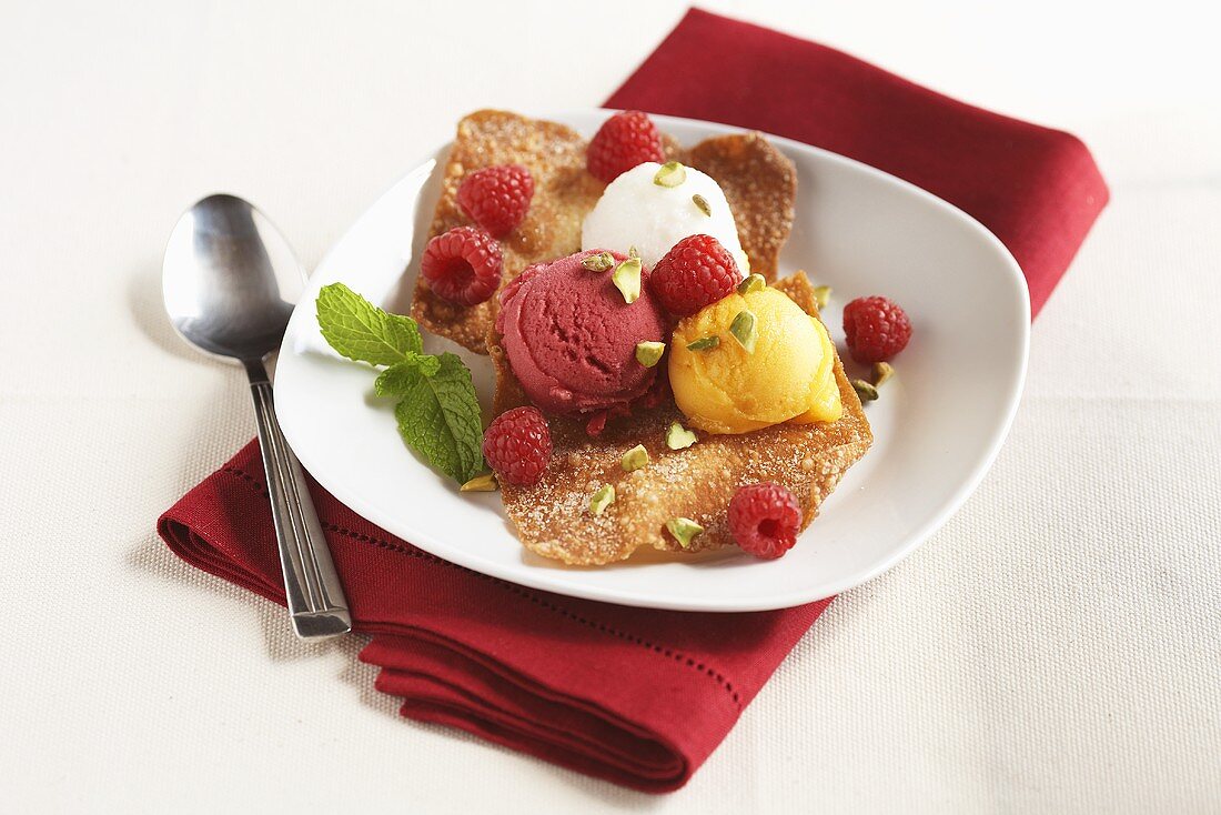 Three Scoops of Sorbet on Tuille with Raspberries and Mint