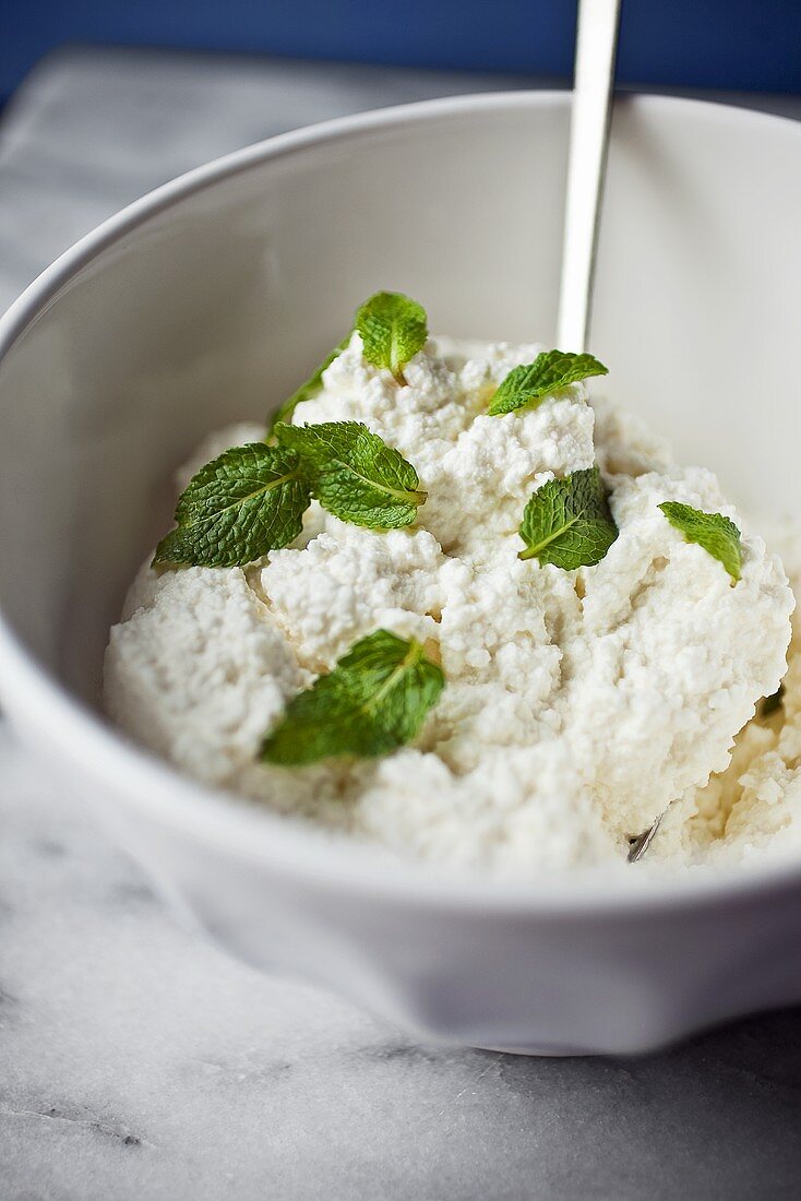 Bowl of Ricotta Cheese with Fresh Mint Leaves
