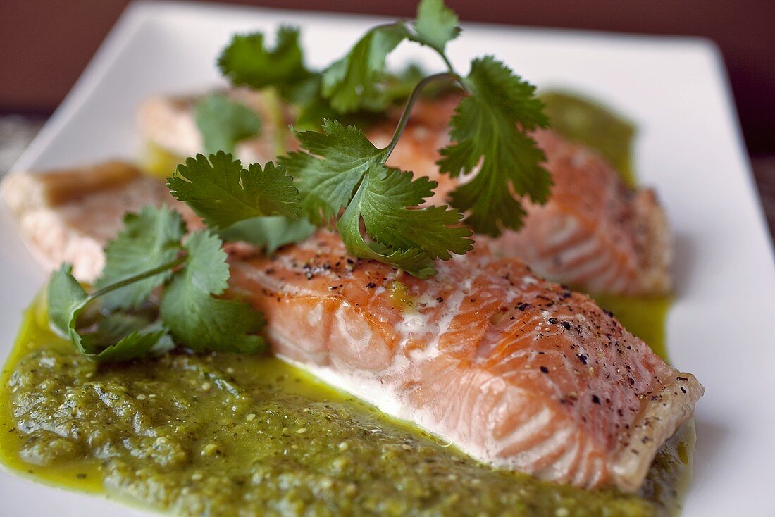 Salmon With Tomatillo Salsa on a White Plate