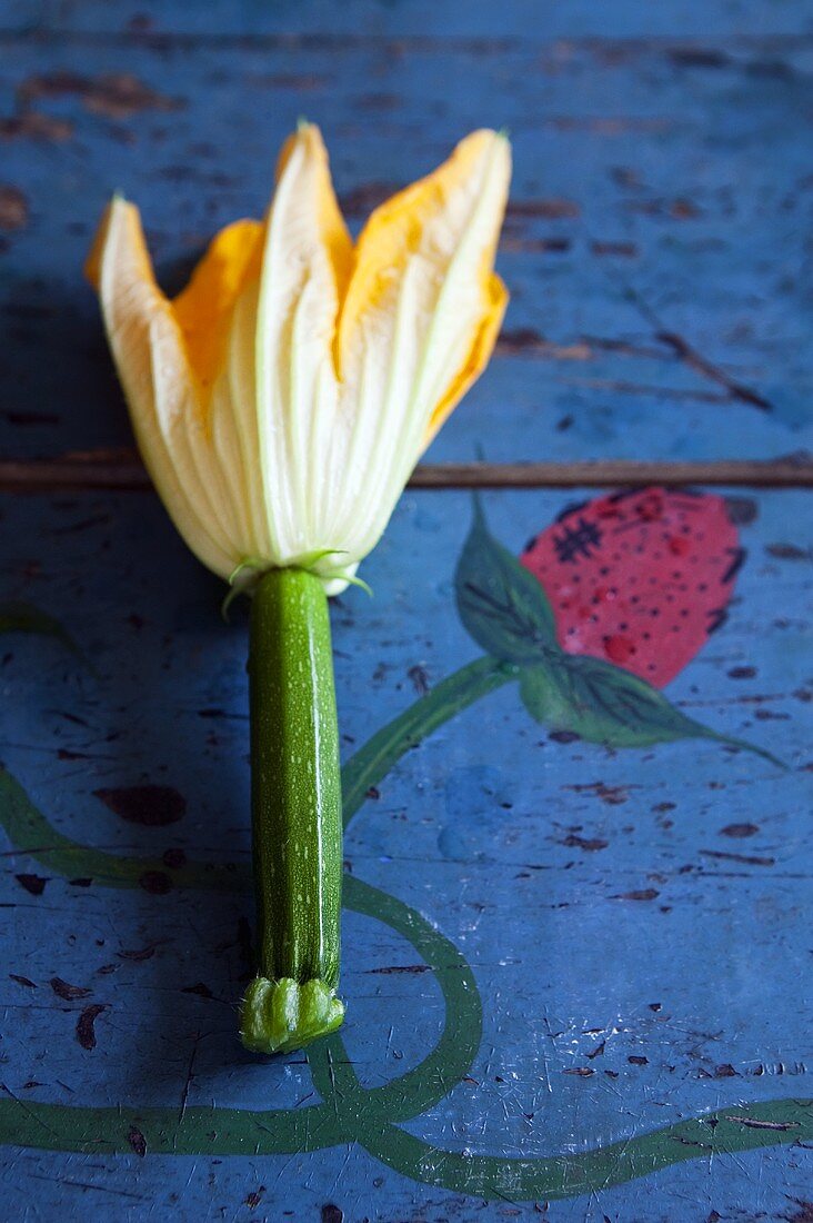 Zucchini mit Blüte