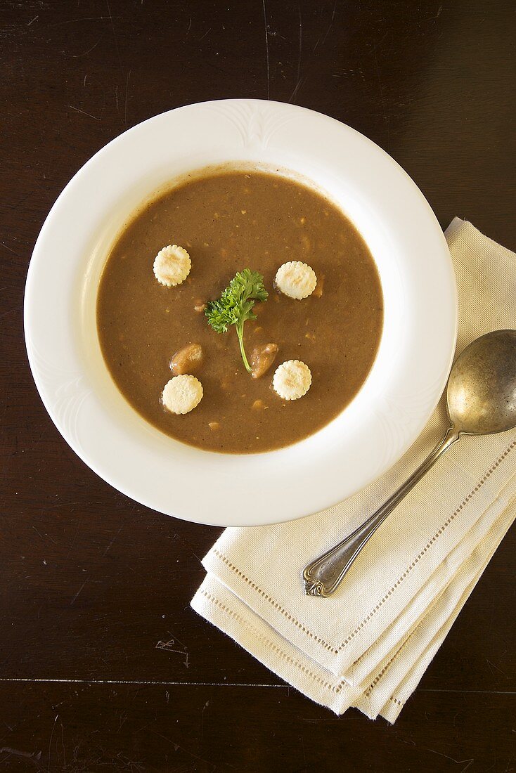 Bowl of Turtle Soup with Oyster Crackers; From Above