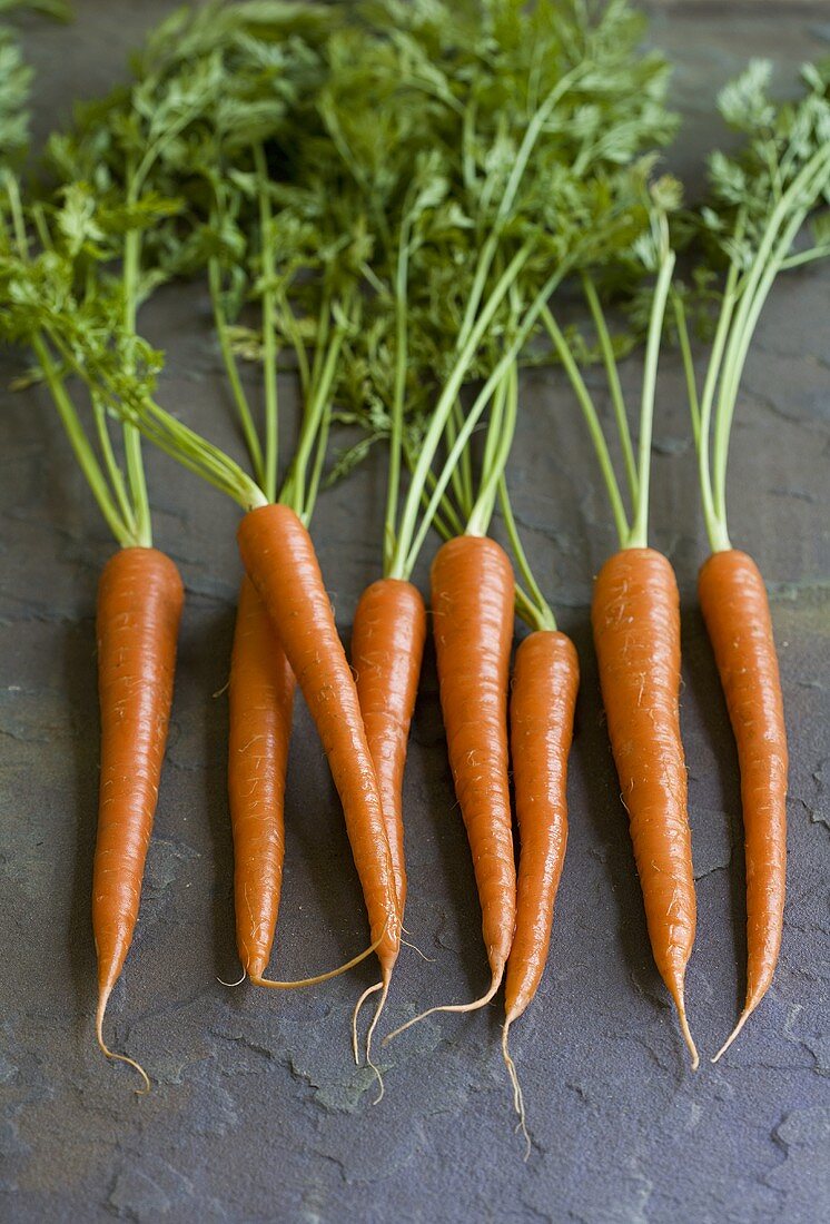 Whole Carrots on a Stone Surface