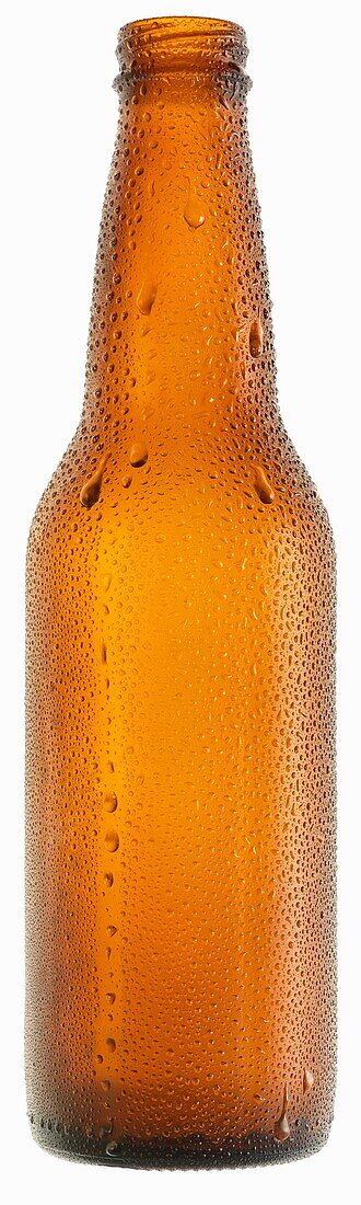 Cold Beer Bottle with Condensation; No Label; White Background