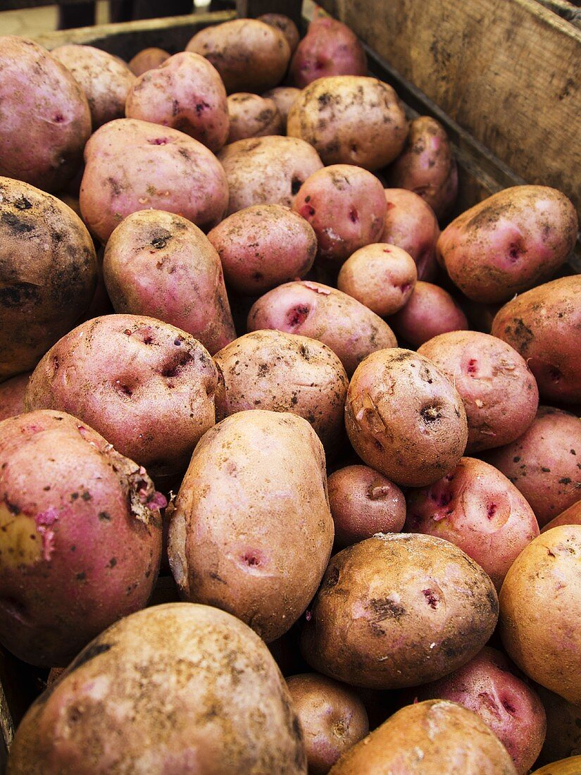 Kiste mit Kartoffeln auf dem Markt