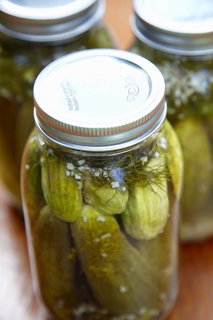 Homemade Pickles with Dill and Garlic