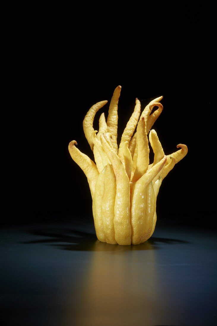 Buddhas Hand (Fingerzitrone)