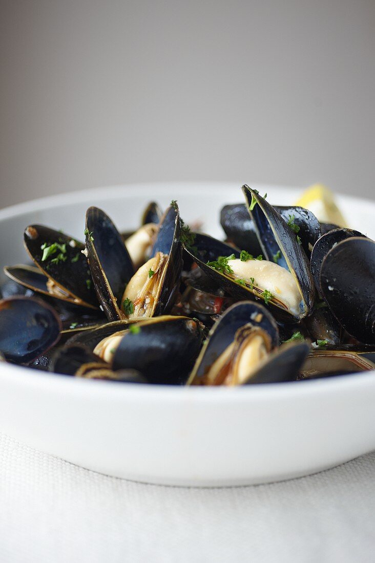 Bowl of Mussels with White Wine, Garlic and Tomato Broth