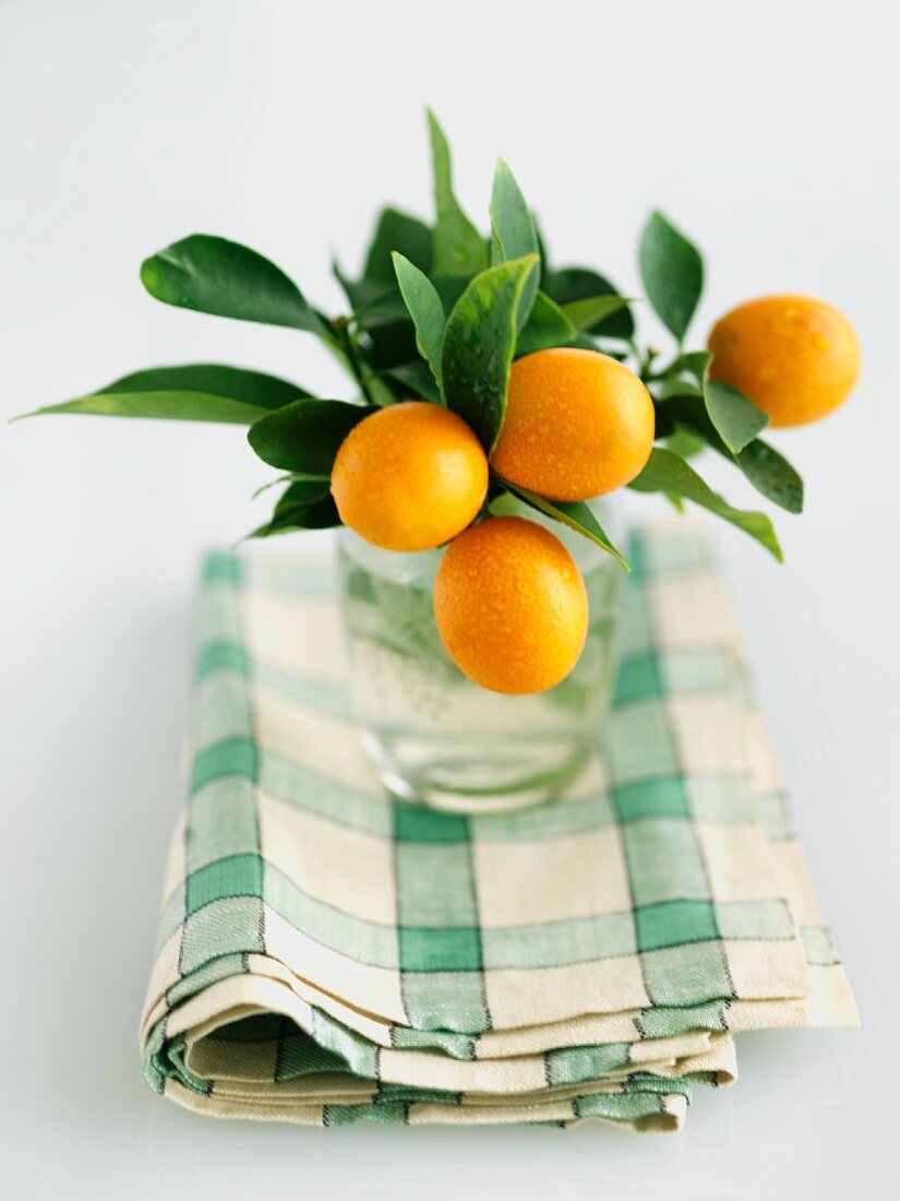 Kumquats mit Blättern in einem Marmeladenglas