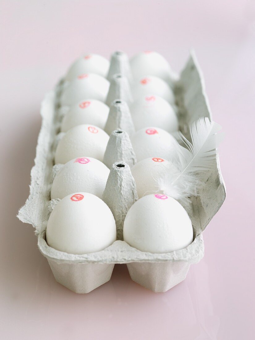 White Eggs in a Cardboard Carton; Feather