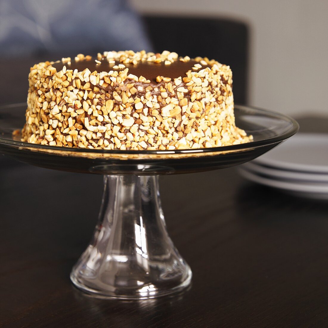Chocolate Peanut Butter Cake with Crushed Peanuts on the Side
