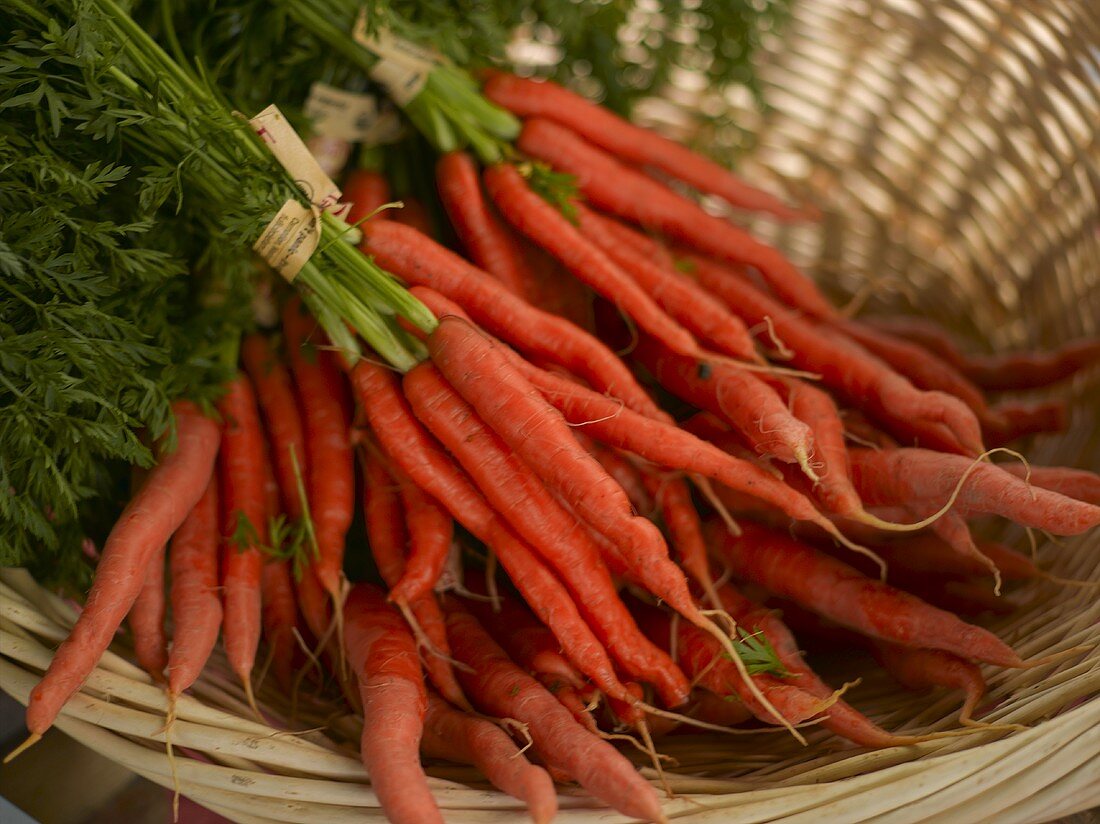 Bunches of Baby Carrots in a Basket at a Farmer's Market in Seattle Washington