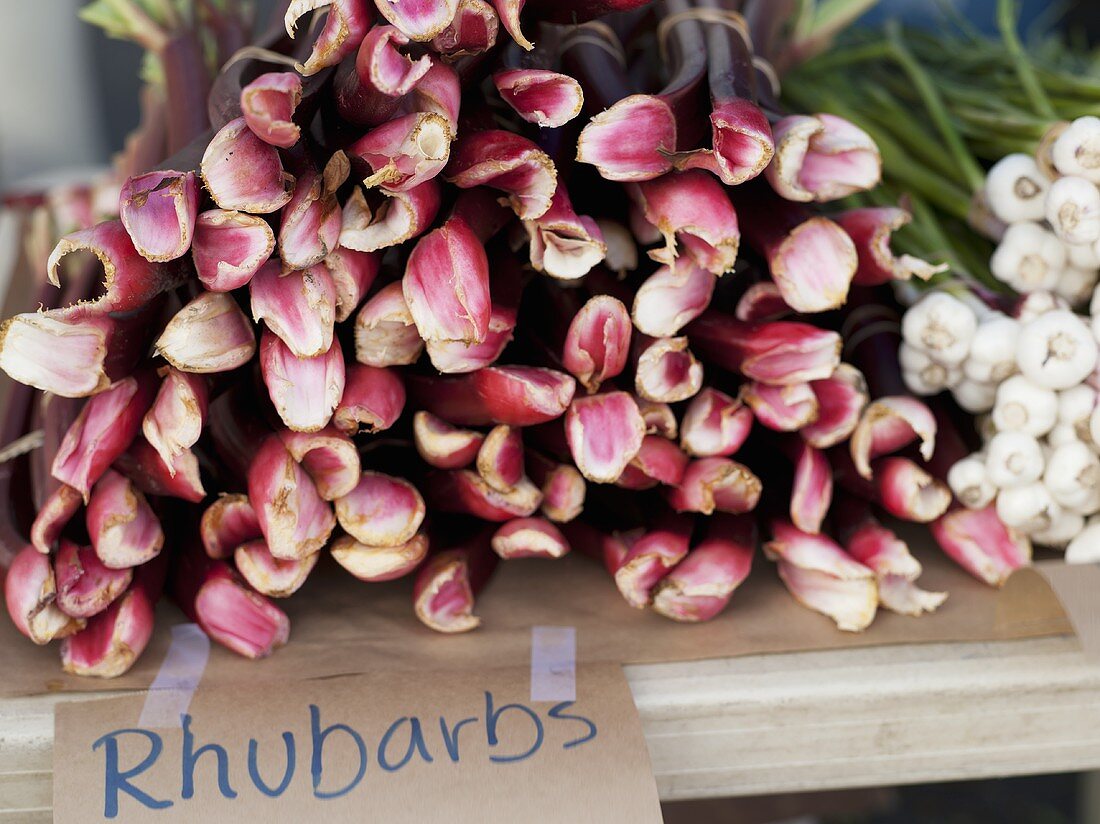 Stalks of Rhubarb and Green Onions at a Farmer's Market in Seattle Washington