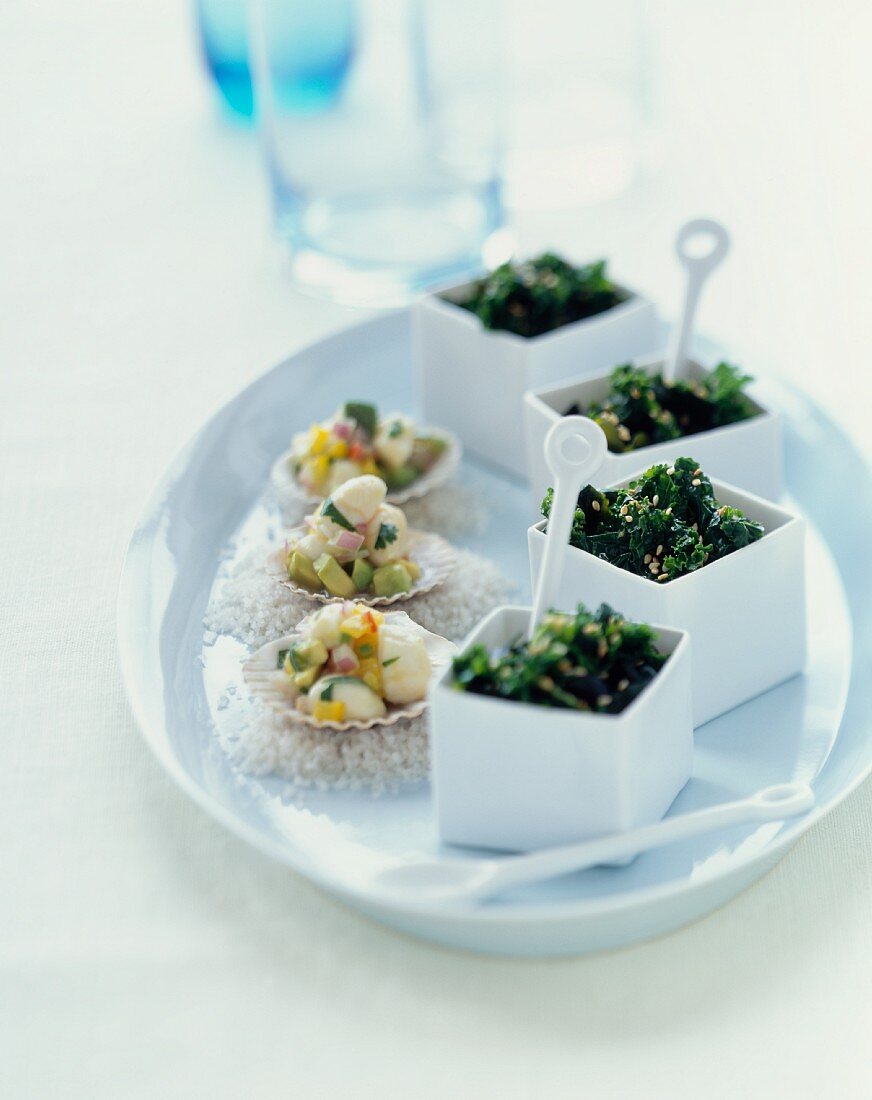 Grünkohl-Nori-Salat und Jakobsmuschel-Ceviche auf Servierplatte