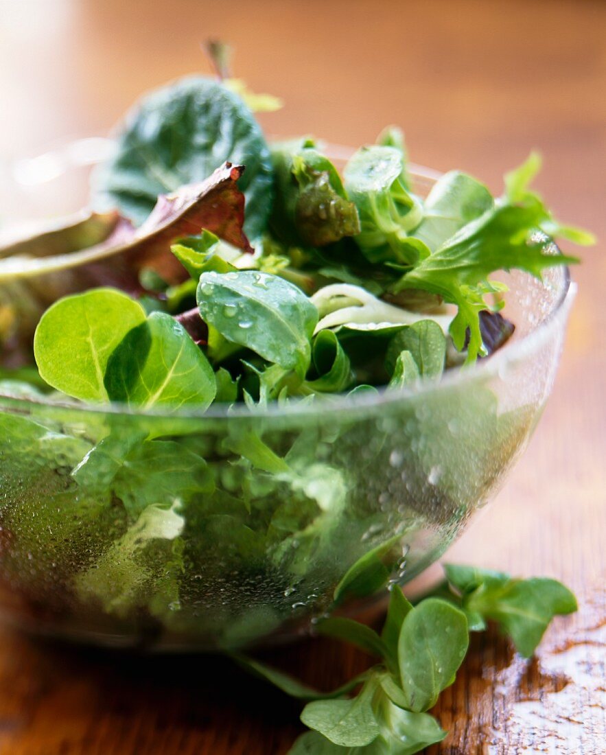 Gemischter grüner Salat in Glasschüssel