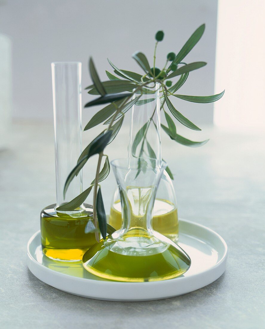 Olivenöl in Karaffen mit einem Olivenzweig