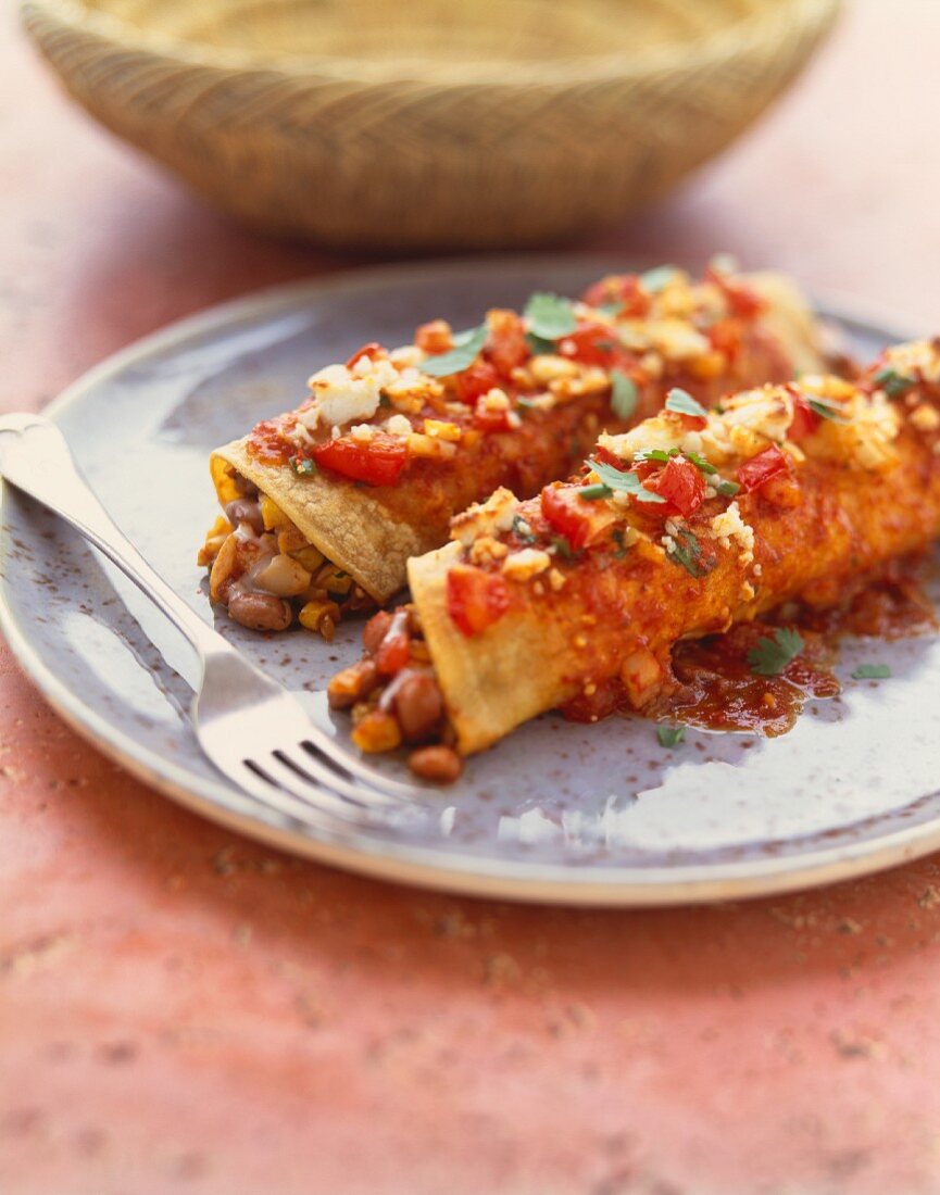 A Serving of Enchiladas with Salsa on a Plate with a Fork