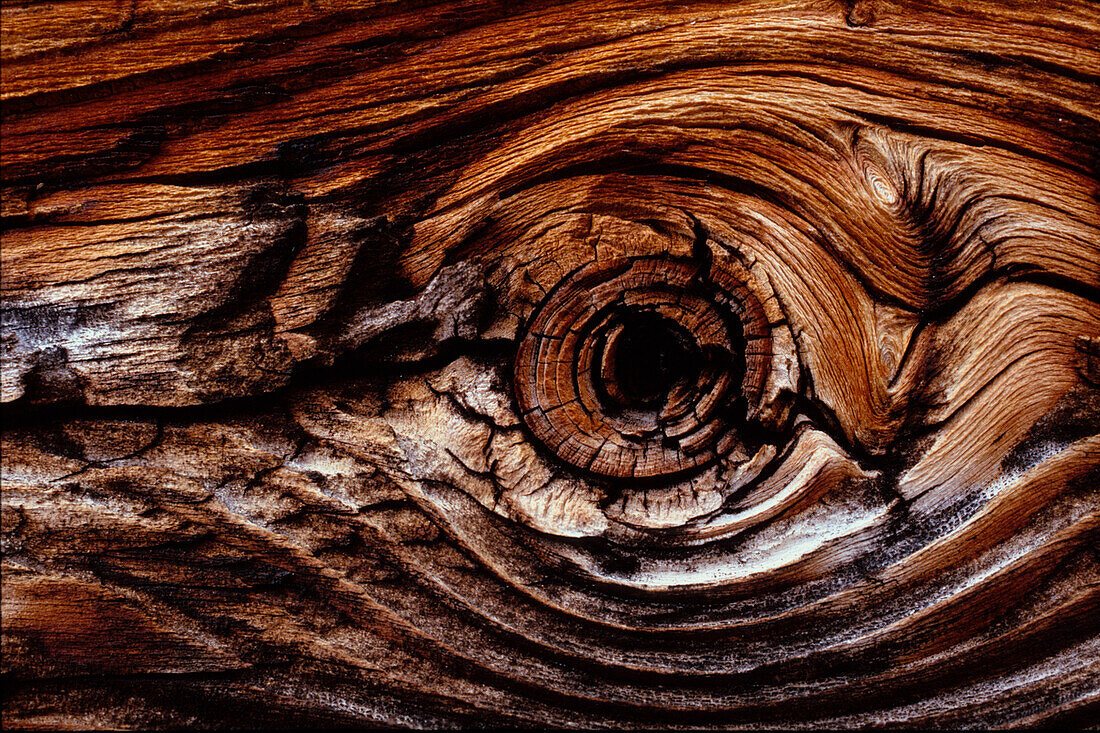 Knothole, Wood