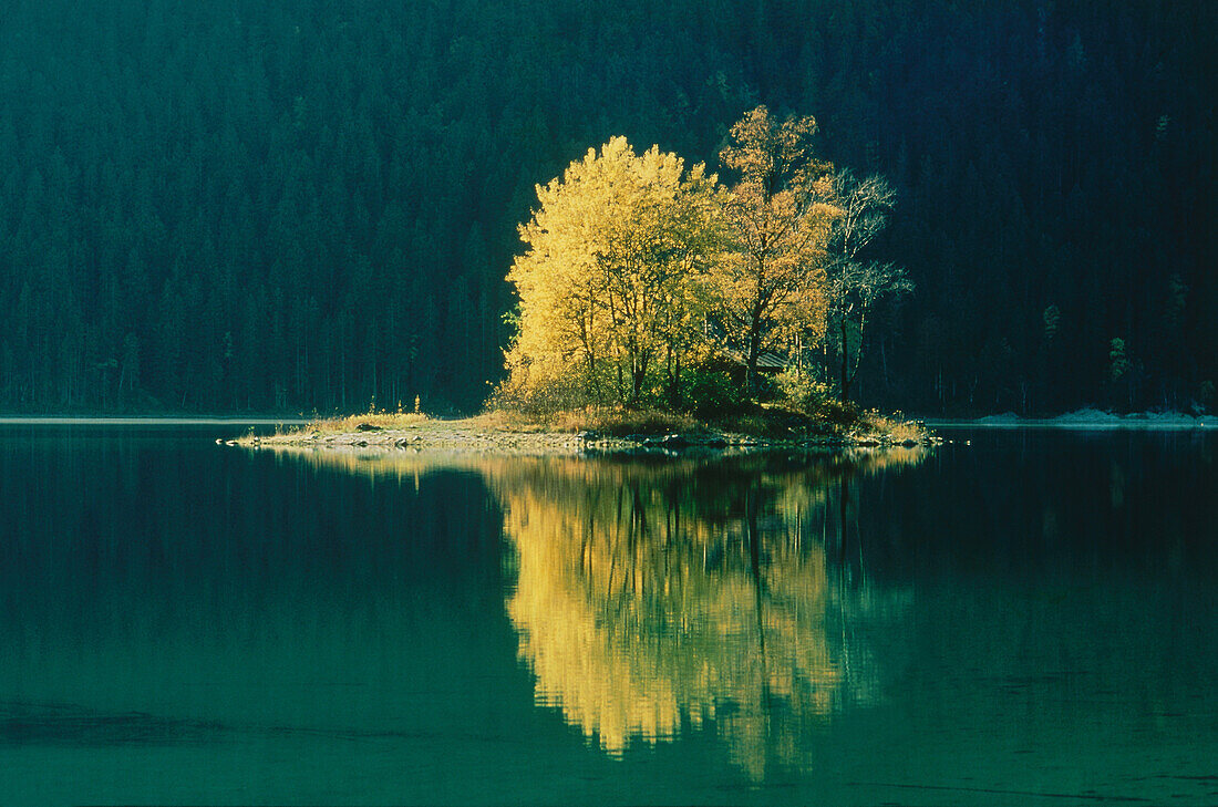 Lake, autumnal trees on small island, Bavaria, Germany