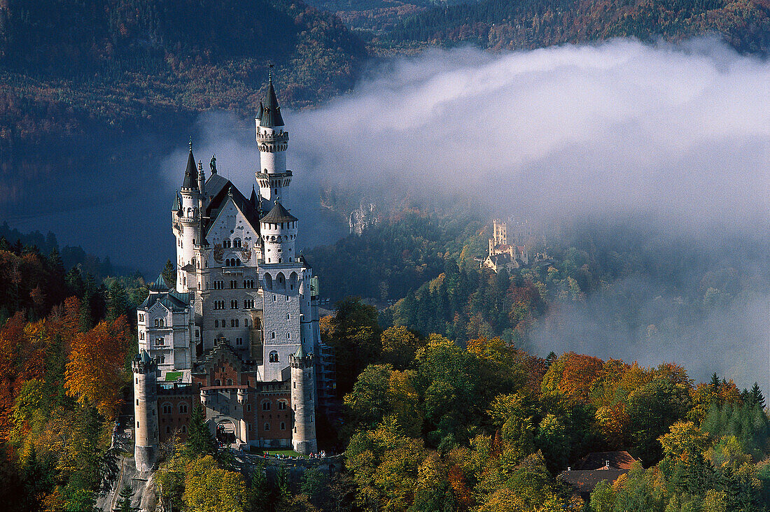 Aerial view of Neuschwanstein Castle, Bavaria, Germany, Europe