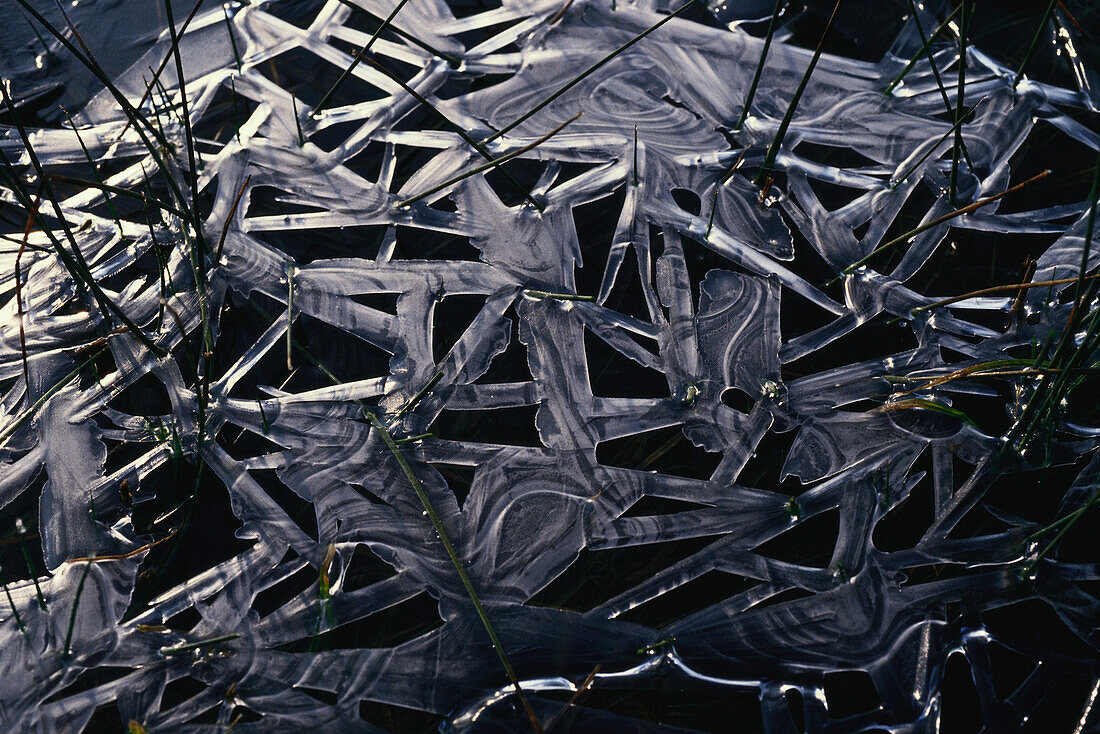 Eiskristalle Struktur