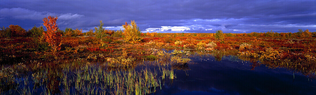 Herbst, Finmark Norwegen